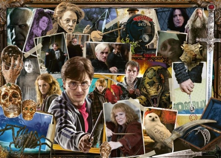 Harry Potter: Voldemort puzzel 1000 stukjes