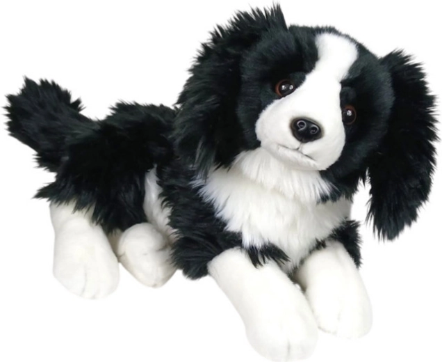 Pluchen hond border collie liggend 30 cm