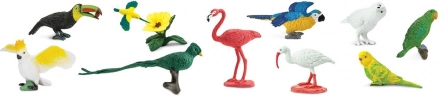 Safari Ltd - Tuba - Exotische vogels