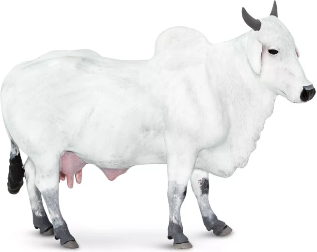 Figuur van een gedomesticeerde oeros (zebu) Safari Ltd. - 1 stuk