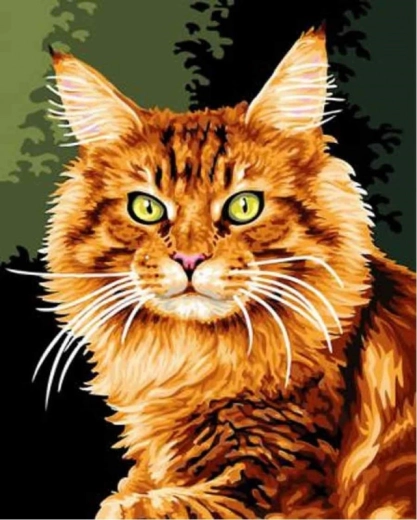 Schilderen op nummer - Rode kat
