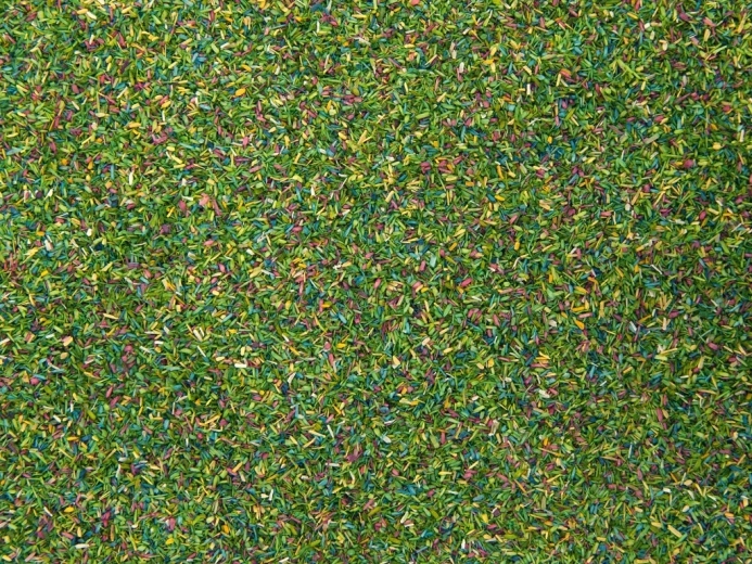 Noch statisch gras Bloeiende weide 150 g