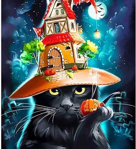 Schilderen op nummer Kat met Halloweenhoed 40 × 50 cm