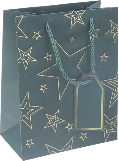 Papieren cadeautas met groen sterrensmotief 18 × 10 × 23 cm