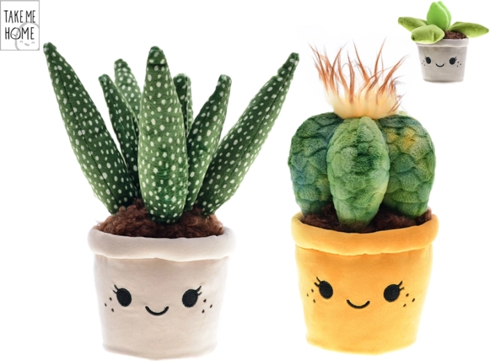 Pluche kamerplanten Take Me Home