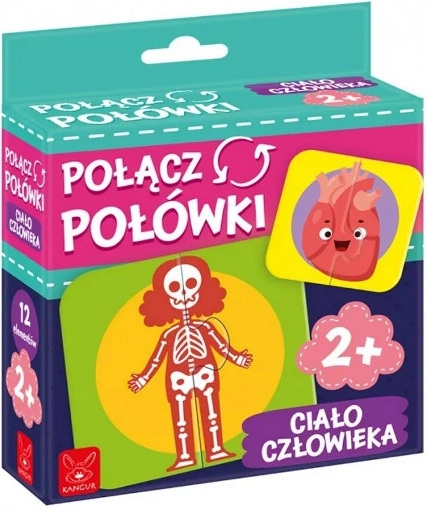 Combineer de helften – educatieve puzzel menselijk lichaam