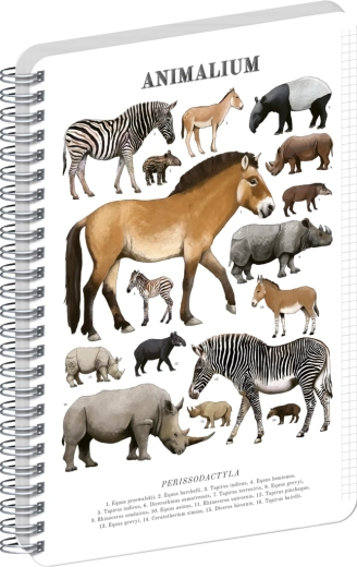 Notique spiraalblok Animalium – onevenhoevigen, A5, geruit