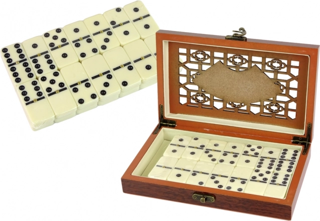 Logisch houten domino, verpakking met 28 stenen