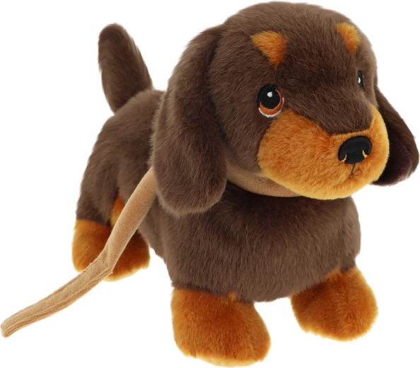 Keeleco teckelpuppy aan de lijn 23 cm