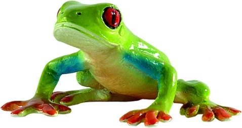 Roodoogboomkikker