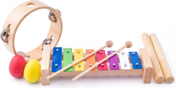 Muziekinstrumenten voor kinderen 3+