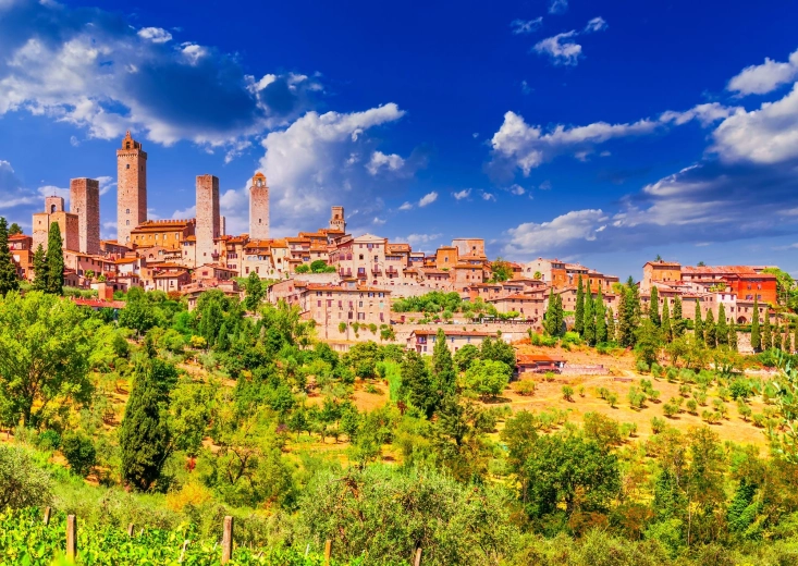 Enjoy puzzel San Gimignano, Italië 1000 stukjes