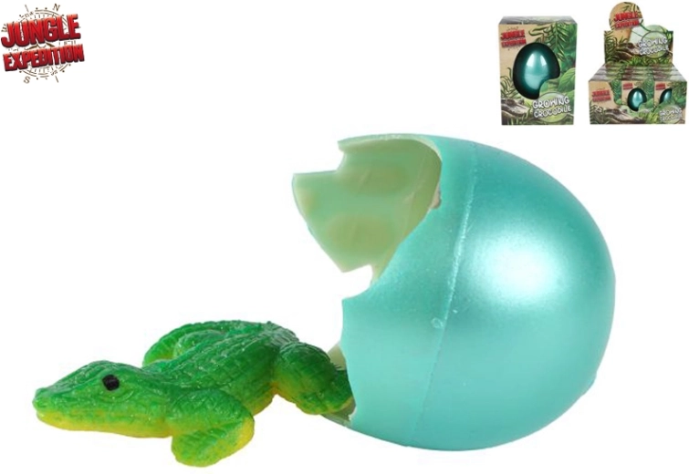 Jungle Expedition uitkomende en groeiende krokodil – ei voor in water