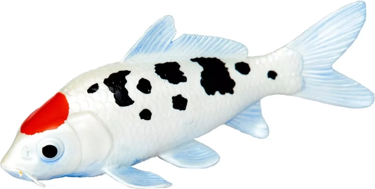 Safari Ltd. figuur koikarper