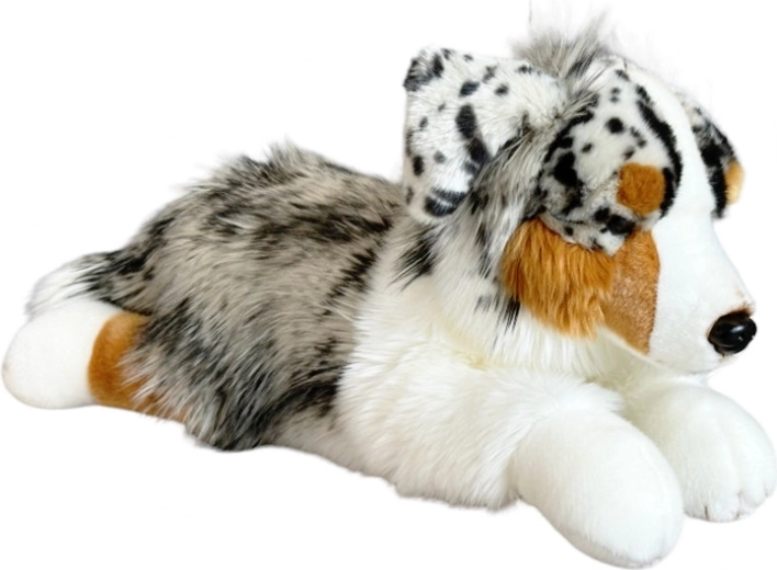 Pluchen liggende Australische hond DUBI 61 cm