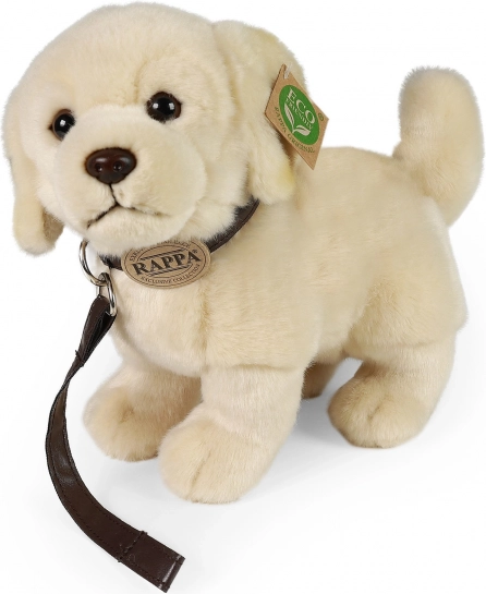 Pluchen hond Golden Retriever met riem 25 cm