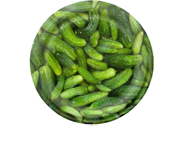 Set inmaakdeksels 82 mm met komkommermotief, 6 nokken, 10 stuks