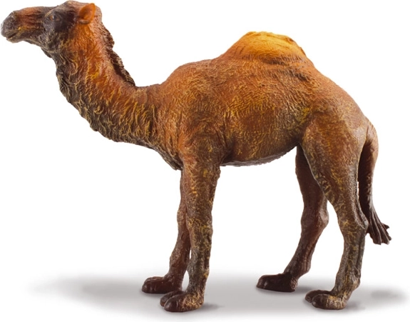 Dromedaris-figuur Collecta