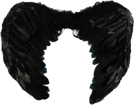 Zwarte vleugels voor Halloween