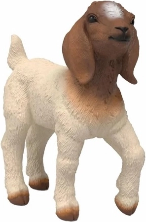 Figuur van een jong van de boerbok
