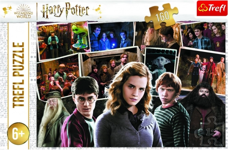 Puzzel HARRY POTTER en vrienden 160 stukjes Trefl