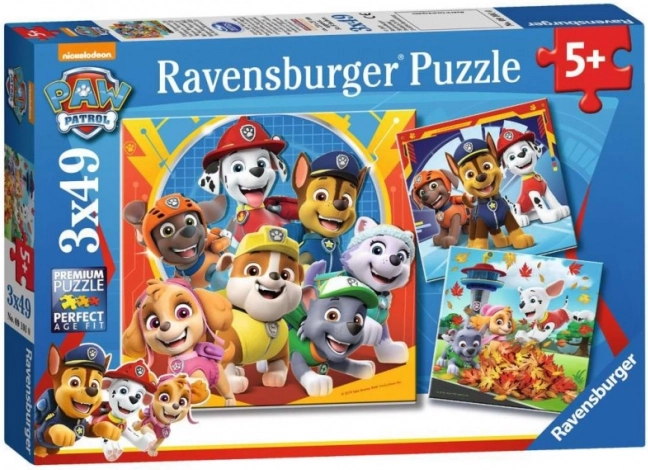 Ravensburger puzzel Paw Patrol 3x49 stukjes