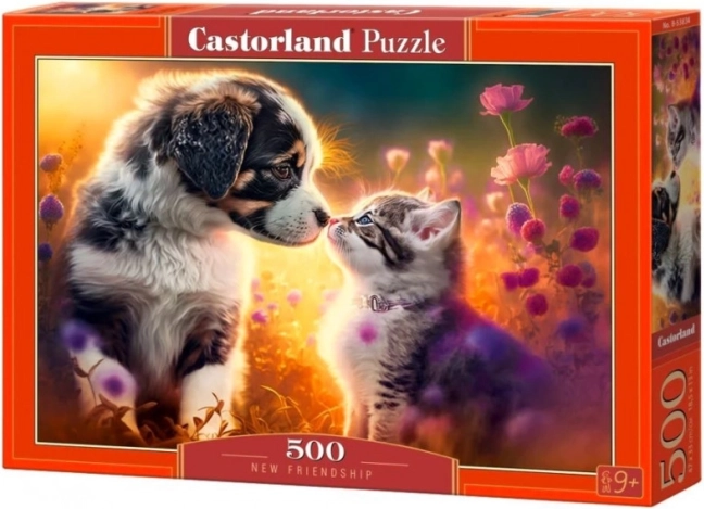 Puzzel 500 stukjes CASTORLAND – nieuwe vriendschap (hond en kat)