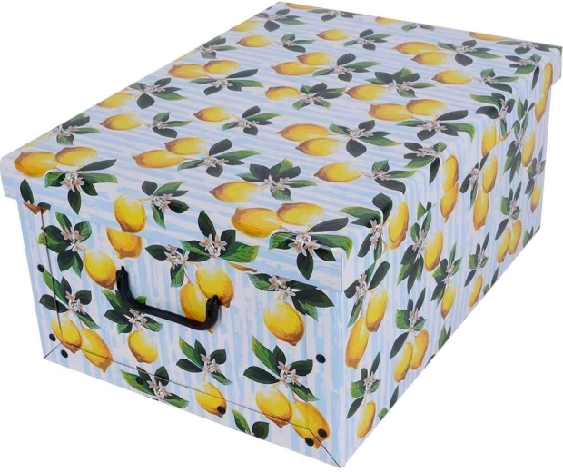 Kartonnen opbergdoos Maxi – citroenen