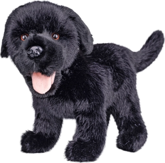 Pluchen labrador zwart 23 cm - 1 stuk