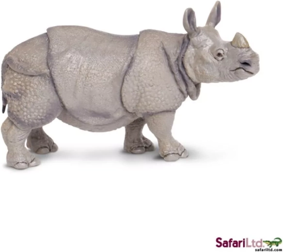 Indische neushoorn