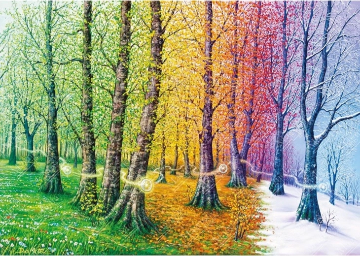 Puzzle Vezels van het Leven 1000 stukjes MAGNOLIA