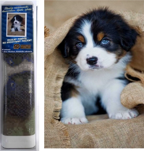 diamond painting puppy van de Berner sennenhond 30 × 40 cm