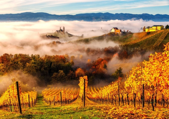 Enjoy puzzel In de wijngaard 1000 stukjes