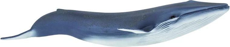 Safari Ltd. figuur blauwe vinvis