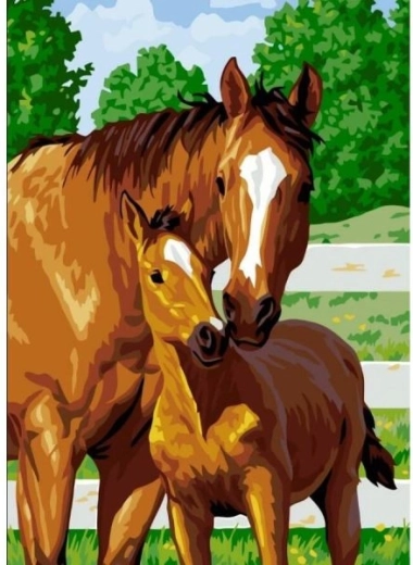 Diamantmozaïek (diamond painting) schattig veulen 30 × 40 cm