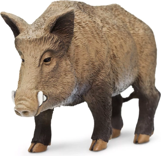 Safari Ltd. figuur everzwijn