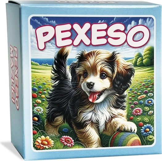 Pexeso Knuffeldieren in blauwe doos
