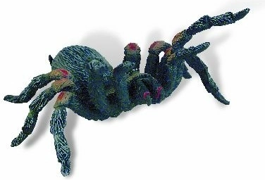 Tarantula