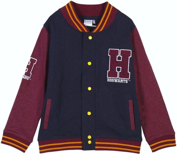 Hoodie Harry Potter
