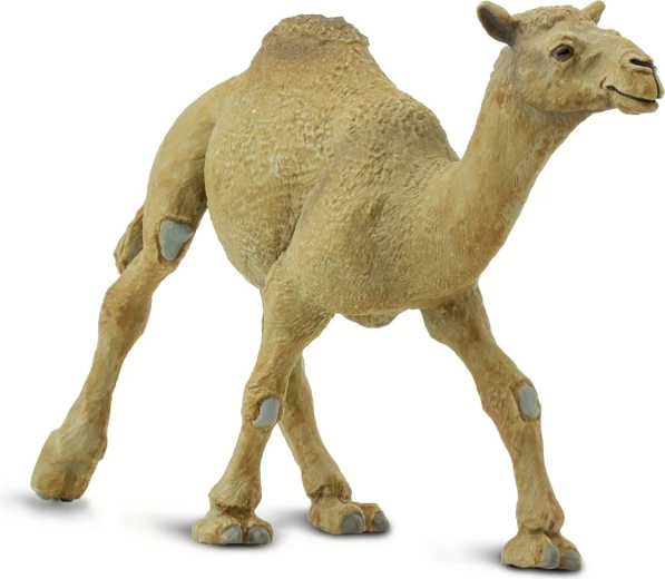 Safari Ltd. dromedaris figuur - 1 stuk