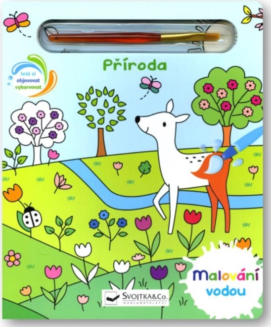 Schilderen met water: Natuur