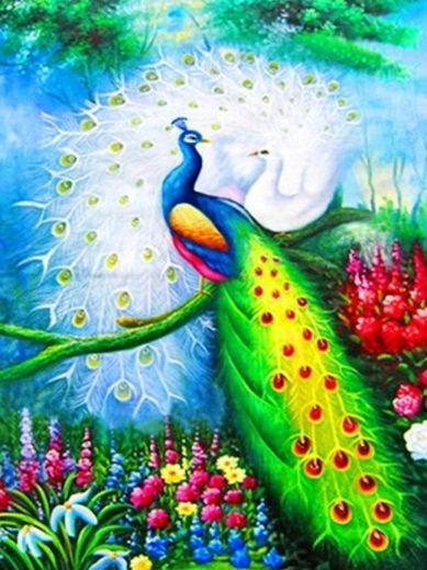 Diamond painting – pauwen 30 × 40 cm