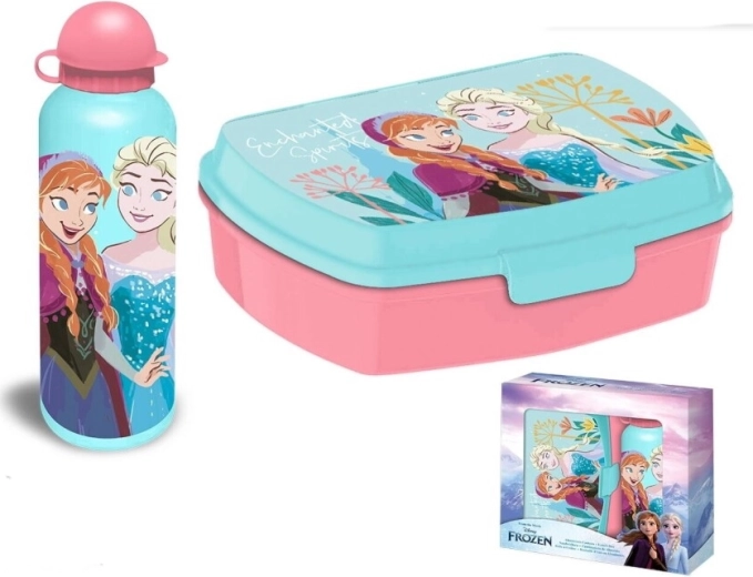 Disney Frozen - lunchbox en aluminium drinkfles