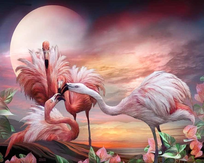 Norimpex Schilderen op nummer Flamingo's 40 × 50 cm
