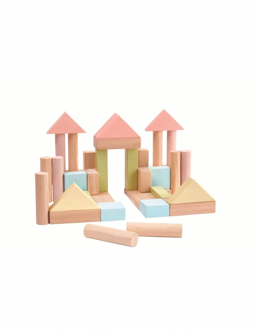 PlanToys bouwblokken 40 stuks