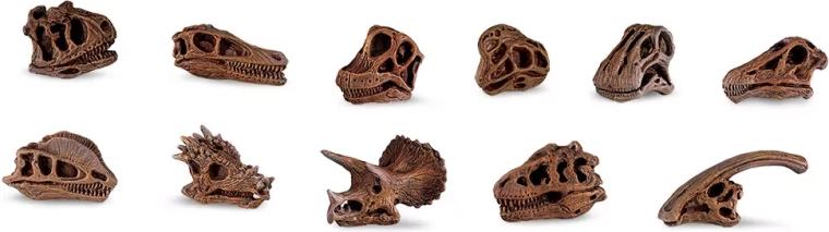 Safari Ltd. dinosaurus-schedels – set mini-replica’s