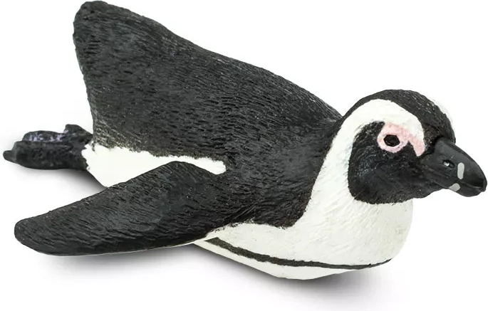 Brilpinguïn Safari Ltd. - 1 stuk