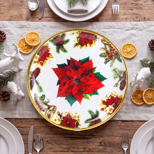 Kerstmis plastic bord met kerstster 22 cm