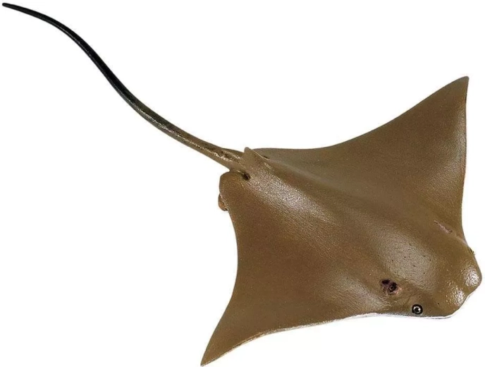 Safari Ltd. figuur Atlantische pijlstaartrog