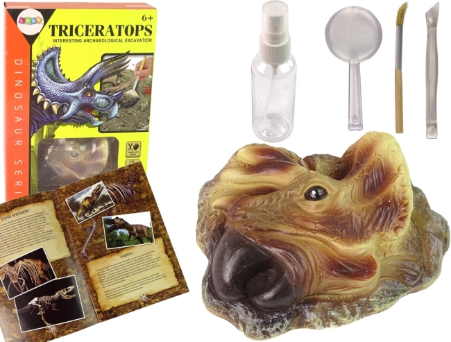 Educatieve opgravingsset Triceratops